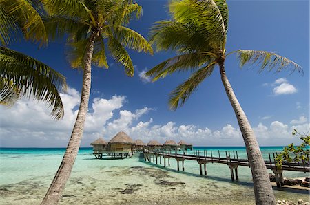 Pearl Beach Resort, Tikehau, Tuamotu Archipelago, French Polynesia, Pacific Islands, Pacific Foto de stock - Sin royalties Premium, Código: 6119-08740525