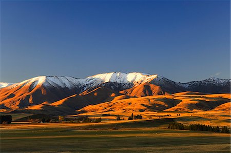 simsearch:6113-06625554,k - Hawkdun Range, Ranfurly, Central Otago, South Island, New Zealand, Pacific Stock Photo - Premium Royalty-Free, Code: 6119-08740878