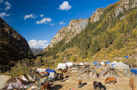 Tent camp, Yading Nature Reserve, Sichuan Province, China, Asia Stock Photo - Premium Royalty-Free, Code: 6119-08740942