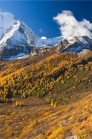 Xiannairi mountain, Yading Nature Reserve, Sichuan Province, China, Asia Stock Photo - Premium Royalty-Free, Code: 6119-08740944