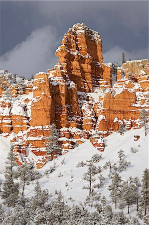 parque nacional de dixie - Red rock formations, Red Canyon, Dixie National Forest, Utah, United States of America, North America Foto de stock - Sin royalties Premium, Código: 6119-08741392