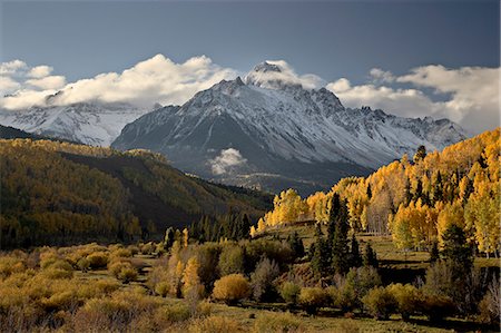 Yellow aspens and snow-covered mountains, Uncompahgre National Forest, Colorado, United States of America, North America Foto de stock - Sin royalties Premium, Código: 6119-08741327