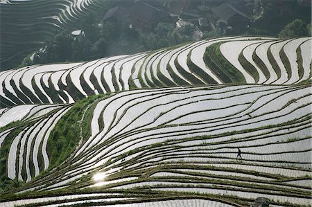 simsearch:6119-08267906,k - Chinese farmer in ricefield in June, Longsheng terraced ricefields, Guangxi Province, China, Asia Stock Photo - Premium Royalty-Free, Code: 6119-08741618