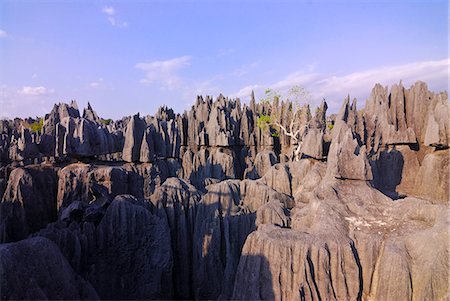 Coral formations, Tsingy de Bemahara, UNESCO World Heritage Site, Madagascar, Africa Foto de stock - Sin royalties Premium, Código: 6119-08741719