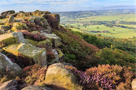 derbyshire - Baslow Edge, early autumn heather, view to Baslow village, Peak District National Park, Derbyshire, England, United Kingdom, Europe Foto de stock - Royalty Free Premium, Número: 6119-08797151