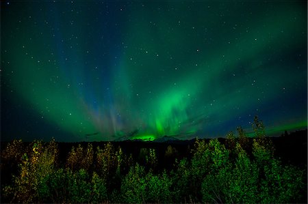 Aurora Borealis (Northern Lights) viewed from Denali Princess Wilderness Lodge, Denali National Park, Alaska, United States of America, North America Foto de stock - Sin royalties Premium, Código: 6119-08797282