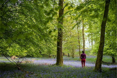 simsearch:841-08244297,k - A woman explores the forest floor of Jeffy Knotts Woods covered in bluebells, Lake District National Park, Cumbria, England, United Kingdom, Europe Photographie de stock - Premium Libres de Droits, Code: 6119-08797298
