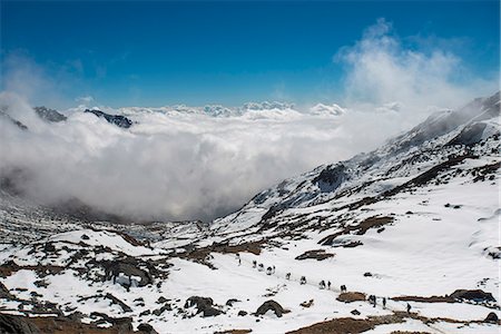 simsearch:6119-08797376,k - Pack ponies carrying trekking equipment cross the Laurebina La from Langtang and descend into cloud towards Helambu, Nepal, Himalayas, Asia Foto de stock - Sin royalties Premium, Código: 6119-08797349