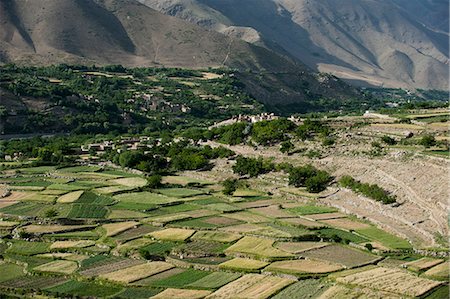 simsearch:6119-08797103,k - Wheat fields in the Panjshir Valley, Afghanistan, Asia Stock Photo - Premium Royalty-Free, Code: 6119-08797327