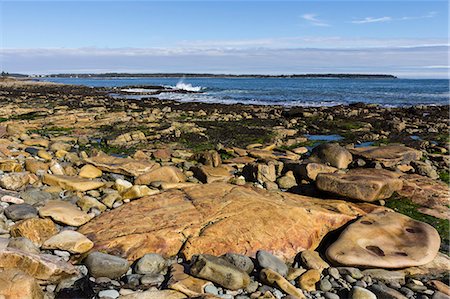 rugged coastline - Beach at Seawall, Mount Desert Island, near Arcadia National Park, Maine, New England, United States of America, North America Stock Photo - Premium Royalty-Free, Code: 6119-08797463