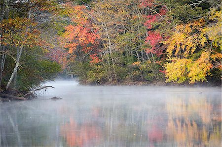 Morning mist and fall colours, River Pemigewasset, New Hampshire, New England, United States of America, North America Photographie de stock - Premium Libres de Droits, Code: 6119-08797465