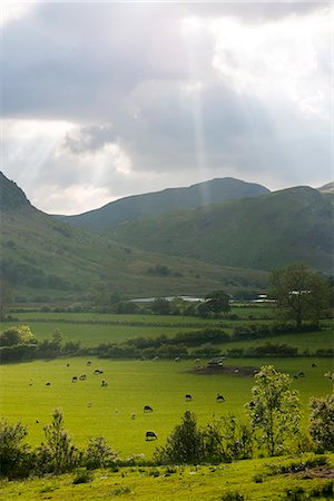 simsearch:6119-08907767,k - Buttermere in the Lake District National Park, Cumbria, England, United Kingdom, Europe Stock Photo - Premium Royalty-Free, Code: 6119-08797425