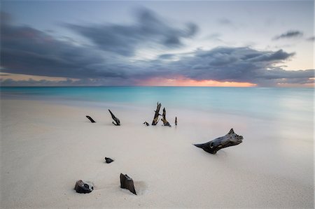 Caribbean sunset frames tree trunks on Ffryes Beach, Antigua, Antigua and Barbuda, Leeward Islands, West Indies, Caribbean, Central America Stock Photo - Premium Royalty-Free, Code: 6119-08703661