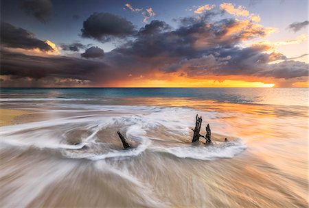 simsearch:6119-08126492,k - The waves and caribbean sunset frames tree trunks on Ffryes Beach, Antigua, Antigua and Barbuda, Leeward Islands, West Indies, Caribbean, Central America Stock Photo - Premium Royalty-Free, Code: 6119-08703662
