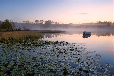 Loch Rusky, Perthshire, Scotland, United Kingdom, Europe Foto de stock - Sin royalties Premium, Código: 6119-08703685