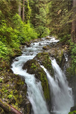 sol duc falls - Sol Duc Falls, Olympic National Park, UNESCO World Heritage Site, Washington, United States of America, North America Stock Photo - Premium Royalty-Free, Code: 6119-08703777