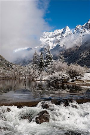 simsearch:6119-08703680,k - Early in morning frost in Mount Siguniang, an area of outstanding natural beauty in Sichuan Province, China, Asia Foto de stock - Royalty Free Premium, Número: 6119-08703714