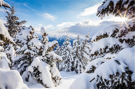 Sunbeam in the snowy woods framed by the winter sunset, Bettmeralp, district of Raron, canton of Valais, Switzerland, Europe Stock Photo - Premium Royalty-Free, Code: 6119-08724975