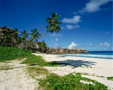 Grand Anse, La Digue, Seychelles, Indian Ocean, Africa Stock Photo - Premium Royalty-Free, Code: 6119-08739834