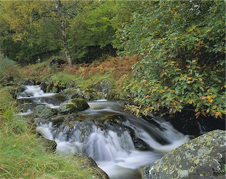 simsearch:841-02943873,k - Barrow Beck and autumnal woodland near Ashness Bridge, Borrowdale, Lake District National Park, Cumbria, England, United Kingdom, Europe Foto de stock - Sin royalties Premium, Código: 6119-08739964