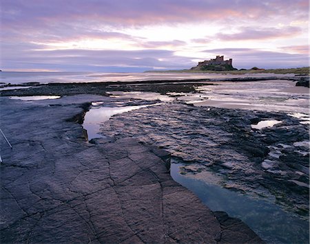 Bamburgh Castle at dawn, Northumberland, England Foto de stock - Sin royalties Premium, Código: 6119-08739974