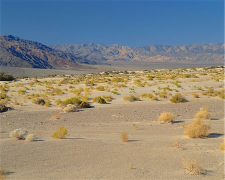 simsearch:6119-08740041,k - Death Valley National Park, California, United States of America, North America Foto de stock - Sin royalties Premium, Código: 6119-08739911