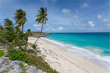 seaside with palm trees - Bottom Bay, St. Philip, Barbados, West Indies, Caribbean, Central America Stock Photo - Premium Royalty-Free, Code: 6119-08841254