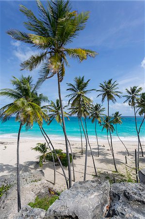 ferienorte - Bottom Bay, St. Philip, Barbados, West Indies, Caribbean, Central America Foto de stock - Sin royalties Premium, Código: 6119-08841255