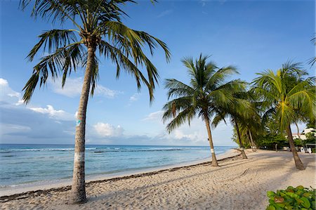 Savannah Beach, Savannah, Bridgetown, Christ Church, Barbados, West Indies, Caribbean, Central America Stock Photo - Premium Royalty-Free, Code: 6119-08841232