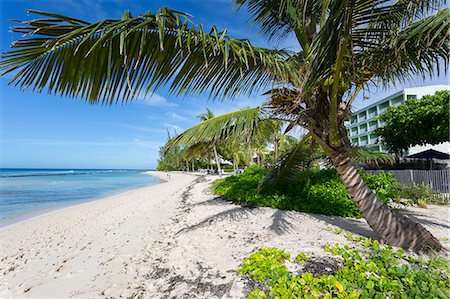 Hastings Beach, Christ Church, Barbados, West Indies, Caribbean, Central America Foto de stock - Sin royalties Premium, Código: 6119-08841239