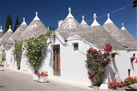 flowers on white stone - Trulli, traditional houses, Rione Monti area, Alberobello, UNESCO World Heritage Site, Valle d'Itria, Bari district, Puglia, Italy, Europe Stock Photo - Premium Royalty-Free, Code: 6119-08803285