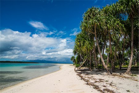 simsearch:6119-09074242,k - Turquoise water and white sand beach, White Island, Buka, Bougainville, Papua New Guinea, Pacific Stock Photo - Premium Royalty-Free, Code: 6119-08803293