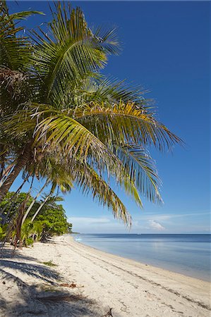 simsearch:6119-07452016,k - The beach at San Juan on the southwest coast of Siquijor, Philippines, Southeast Asia, Asia Photographie de stock - Premium Libres de Droits, Code: 6119-08803344