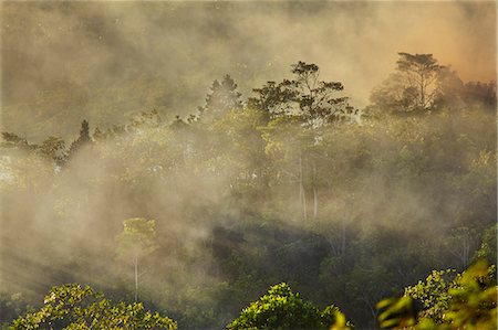 simsearch:6119-08803347,k - Smoke from a fire drifts across rainforest, near San Juan, Siquijor, Philippines, Southeast Asia, Asia Foto de stock - Royalty Free Premium, Número: 6119-08803346
