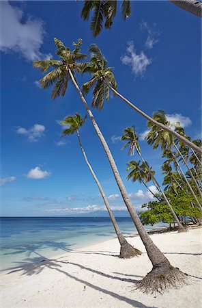 simsearch:6119-07451154,k - Paliton Beach, near San Juan, Siquijor, Philippines, Southeast Asia, Asia Photographie de stock - Premium Libres de Droits, Code: 6119-08803336