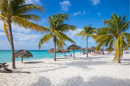 palm tree umbrella - Playa Sirena, Cayo Largo De Sur, Playa Isla de la Juventud, Cuba, West Indies, Caribbean, Central America Stock Photo - Premium Royalty-Free, Code: 6119-09053886