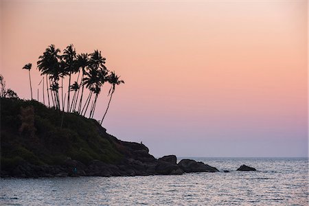 sunset goa - Palm trees silhouetted at Palolem Beach at sunset, Goa, India, Asia Stock Photo - Premium Royalty-Free, Code: 6119-09053934