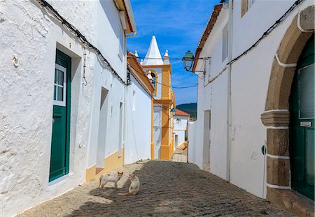 Two cats in a back street in Alegrete, a medieval walled village bordering Spain in the high Alentejo, Portugal, Europe Photographie de stock - Premium Libres de Droits, Code: 6119-09054029