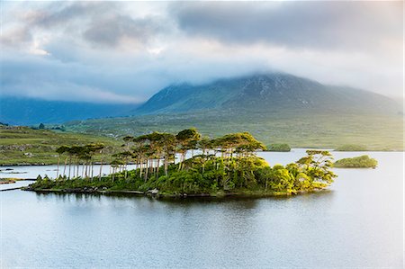 Pine Island on Derryclare Lake, Connemara, County Galway, Connacht province, Republic of Ireland, Europe Photographie de stock - Premium Libres de Droits, Code: 6119-09062060