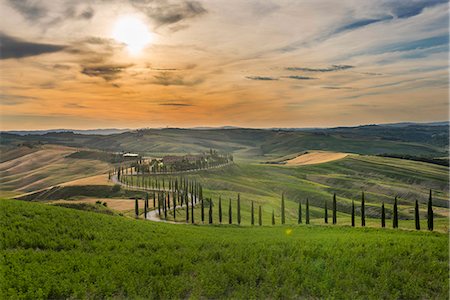 Baccoleno farmhouse, Val d'Orcia (Orcia Valley), UNESCO World Heritage Site, Tuscany, Italy, Europe Stock Photo - Premium Royalty-Free, Code: 6119-09062091