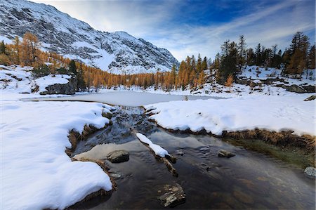simsearch:6119-09170192,k - Frozen Lake Mufule framed by larches and snow in autumn, Malenco Valley, Province of Sondrio, Valtellina, Lombardy, Italy, Europe Photographie de stock - Premium Libres de Droits, Code: 6119-09062025