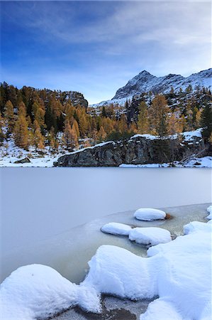 simsearch:6119-09062112,k - Frozen Lake Mufule framed by larches and snow in autumn, Malenco Valley, Province of Sondrio, Valtellina, Lombardy, Italy, Europe Photographie de stock - Premium Libres de Droits, Code: 6119-09062026