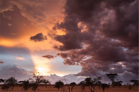 Clouds approach the savannah at the beginning of the rainy season, Tsavo, Kenya, East Africa, Africa Stock Photo - Premium Royalty-Free, Code: 6119-09062152