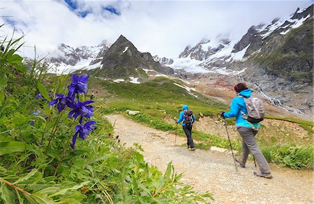 simsearch:841-09085894,k - Transit of hikers with Aquilegia flowers in the foreground, Elisabetta Hut, Veny Valley, Courmayeur, Aosta Valley, Italy, Europe Photographie de stock - Premium Libres de Droits, Code: 6119-09062110