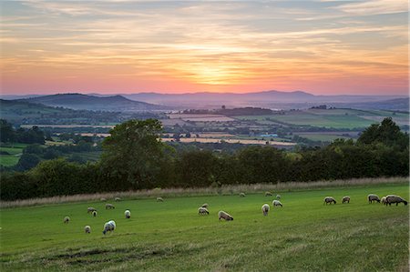 so british - Cotswold landscape and distant Malvern Hills at sunset, Farmcote, Cotswolds, Gloucestershire, England, United Kingdom, Europe Stock Photo - Premium Royalty-Free, Code: 6119-09062200