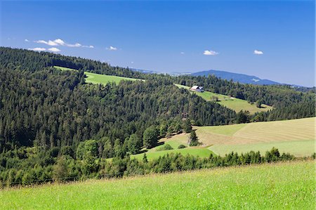 simsearch:6119-08081120,k - Landscape with farmhouse, near Schonwald, Black Forest, Baden Wurttemberg, Germany, Europe Stockbilder - Premium RF Lizenzfrei, Bildnummer: 6119-09073885