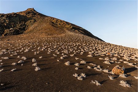 Sunrise over the lava flows on Bartolome Island, Galapagos, Ecuador, South America Photographie de stock - Premium Libres de Droits, Code: 6119-09073817