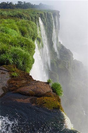 simsearch:6119-08703656,k - Iguazu Falls from Argentinian side, UNESCO World Heritage Site, on border of Argentina and Brazil, Argentina, South America Foto de stock - Royalty Free Premium, Número: 6119-09073836