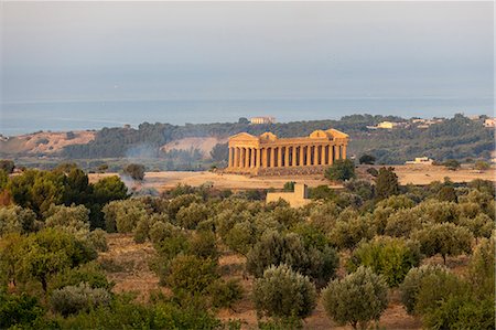 The olive grove frames the Temple of Concordia, an ancient Greek temple in the Valle dei Templi, UNESCO World Heritage Site, Agrigento, Sicily, Italy, Europe Stock Photo - Premium Royalty-Free, Code: 6119-09073982