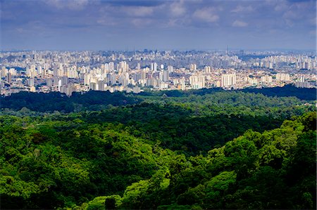 state park - Central Sao Paulo from the rainforest of the Serra da Cantareira State Park, Brazil, South America Stock Photo - Premium Royalty-Free, Code: 6119-09073917